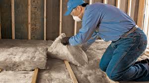 Best Crawl Space Insulation  in Fort Mohave, AZ